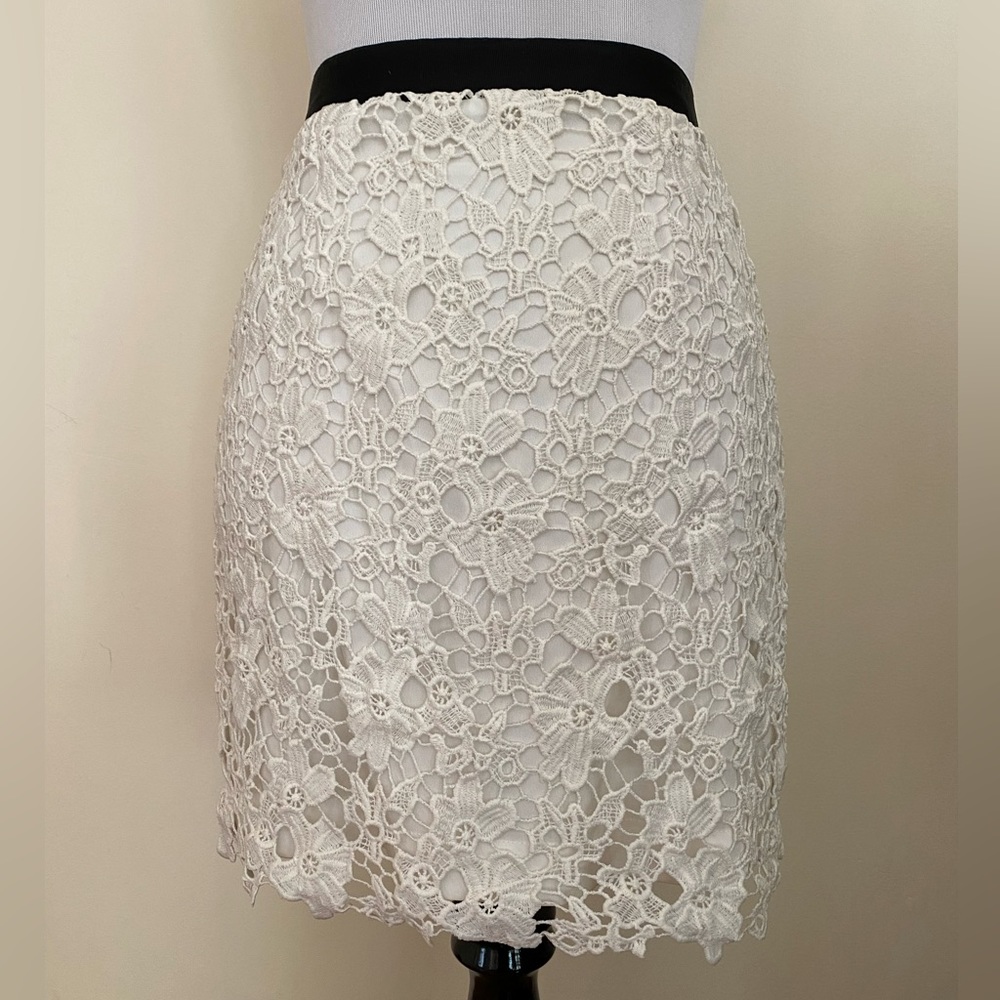 NWOT French Connection Lace Embroidery Skirt Size 4